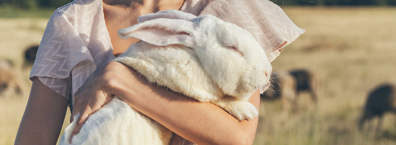 Why Shopping Cruelty Free Is Important