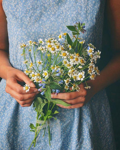 Why We Are Crazy For Chamomile And Its Skin Benefits.