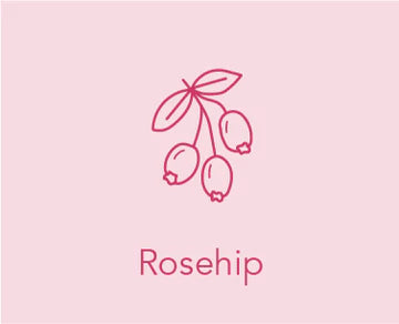 Rosehip